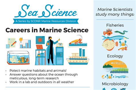 what jobs are similar to marine biology